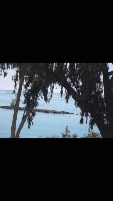 Appartamento Myria Court Limisso Esterno foto